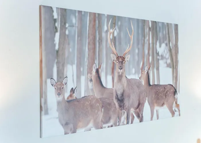 Апартаменты In Kirchberg Near Slopes Кирхберг