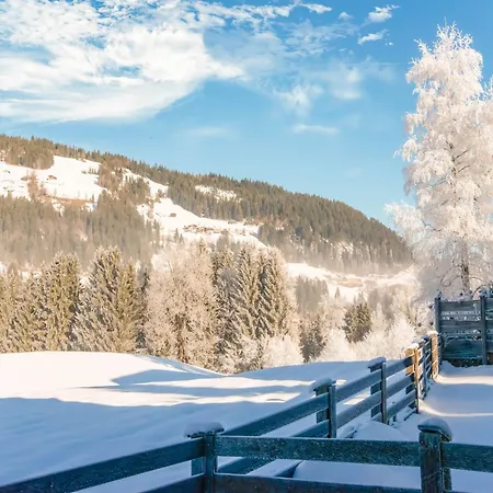 In Kirchberg Near Slopes Lägenhet Kirchberg in Tirol