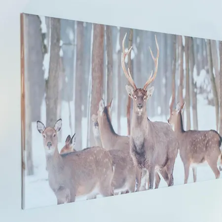 Lägenhet In Kirchberg Near Slopes Kirchberg in Tirol